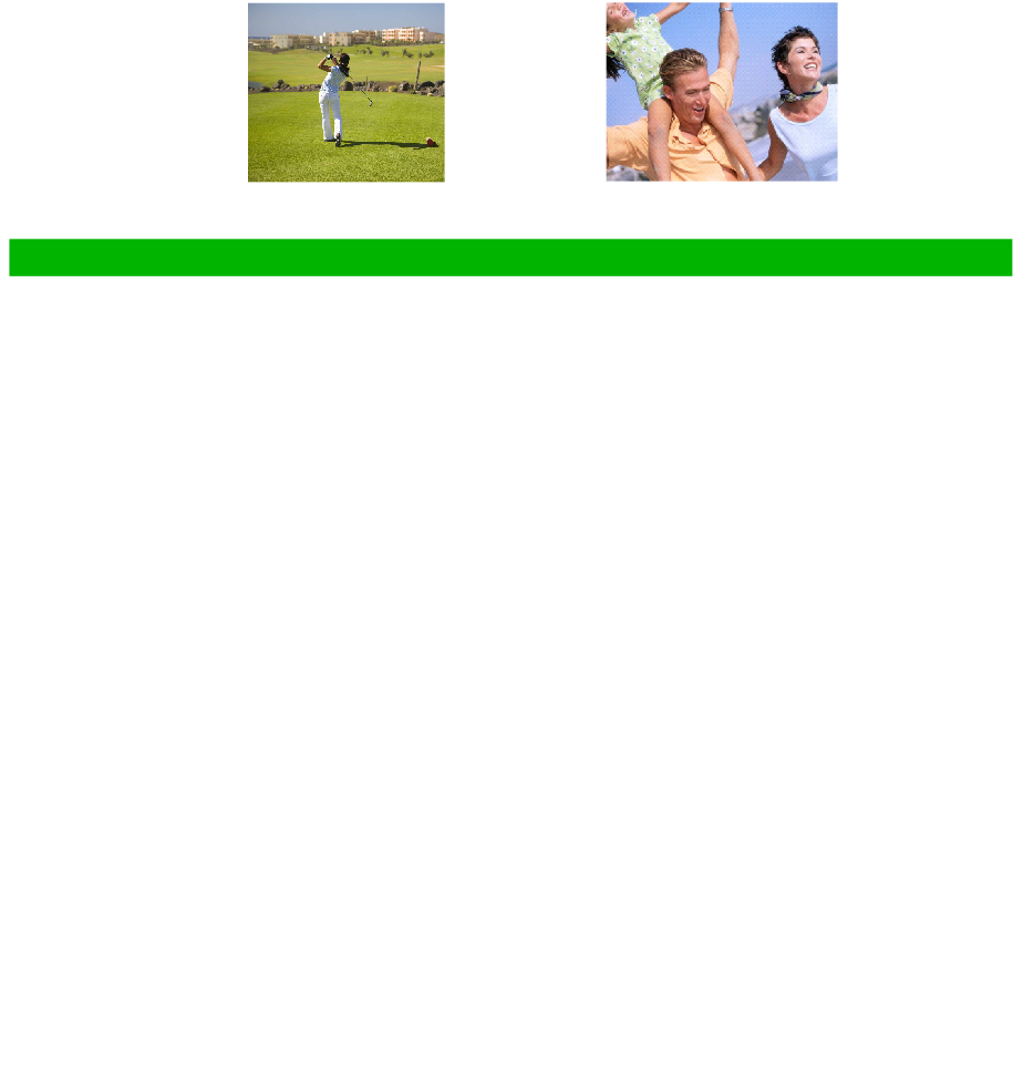wp97cd4def.png